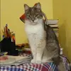 Отзыв от Юлия Кондрашова